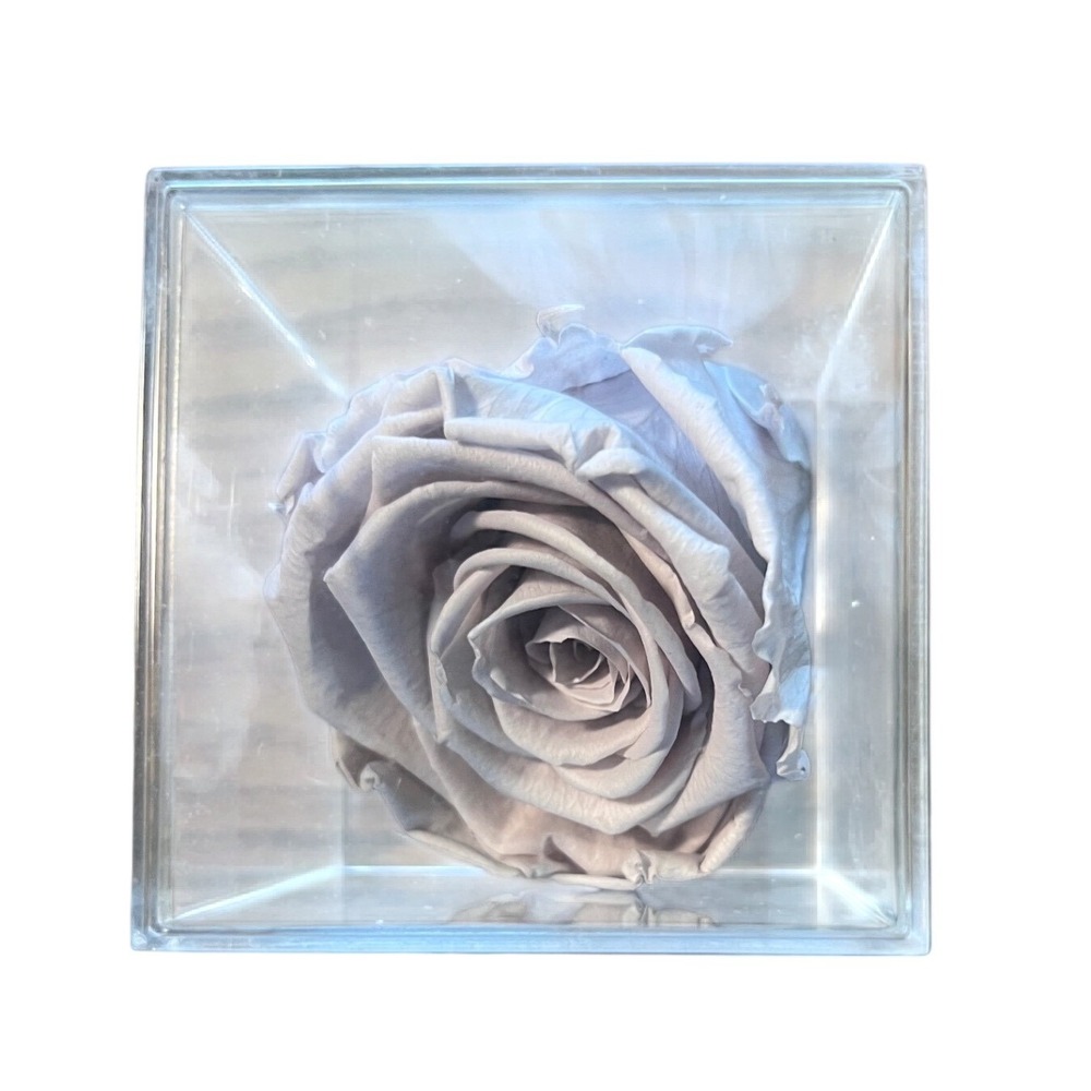 Preserved Lilac Rose‎ in a Clear Acrylic Box